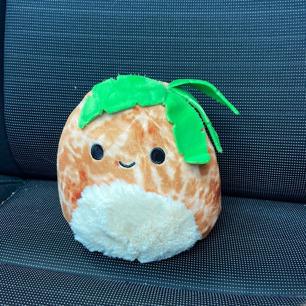Mystery Squad Scented Palm Tree Squishmallow